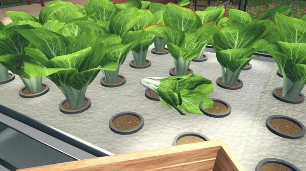Hydroponics Farm & Store Simulator.