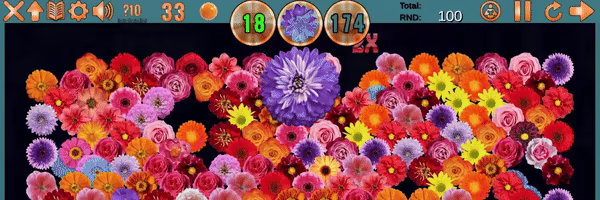 Clutter 17: Flower Power - Collector's Edition video 1