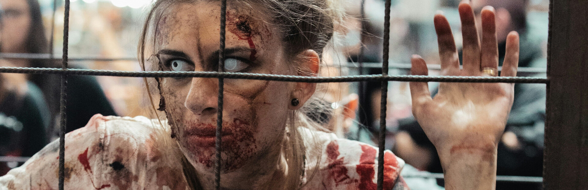 Zombies & Survivors