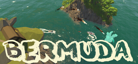 Bermuda cover art