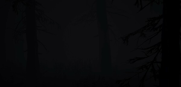 Shadow Bounded screenshot 6