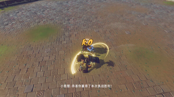 Canyon Arena screenshot 5