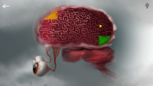 Transmorphosis Demo