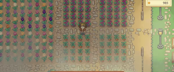 Sunshine Farm video 2
