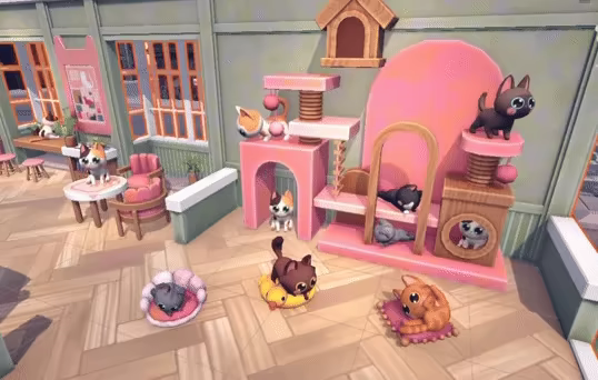Meow Cafe video 3