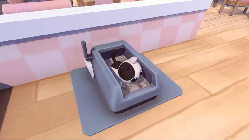 Meow Cafe video 5