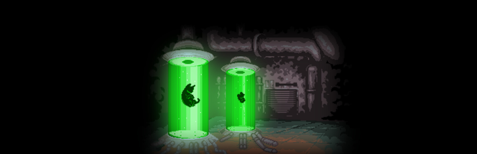 MEOW FRONTIER