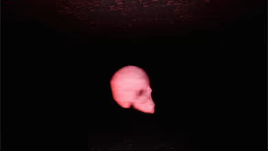 Edd Skeleton Game video 5