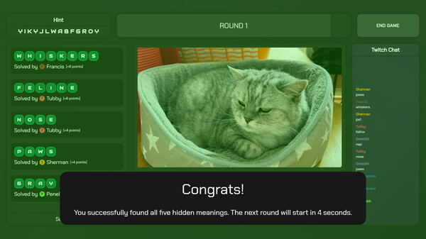 Meanings hidden in plain sight screenshot 4