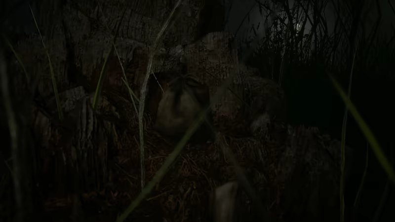 Forest 6174 video 1