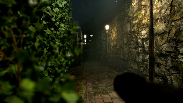 Скриншот из Cursed Maze