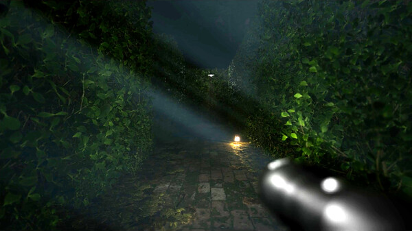 Скриншот из Cursed Maze