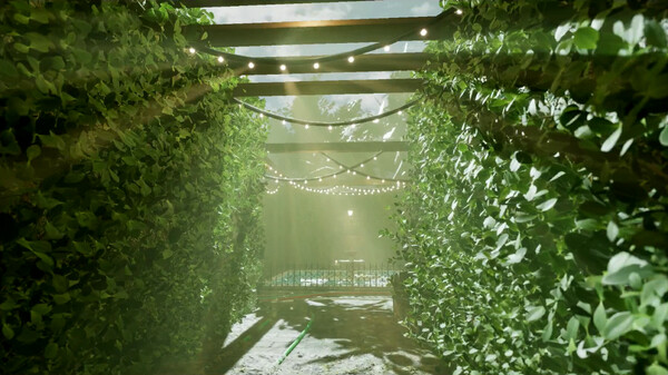 Скриншот из Cursed Maze