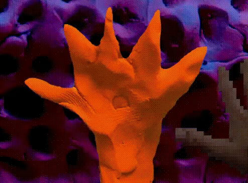 Stones of Flesh video 1