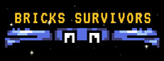 Bricks Survivors