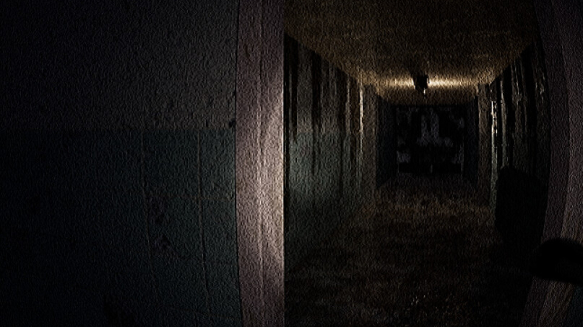 Investigation screenshot #5