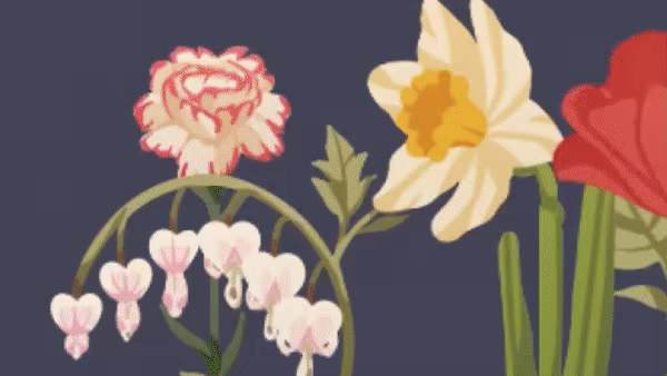 BloomTale video 6