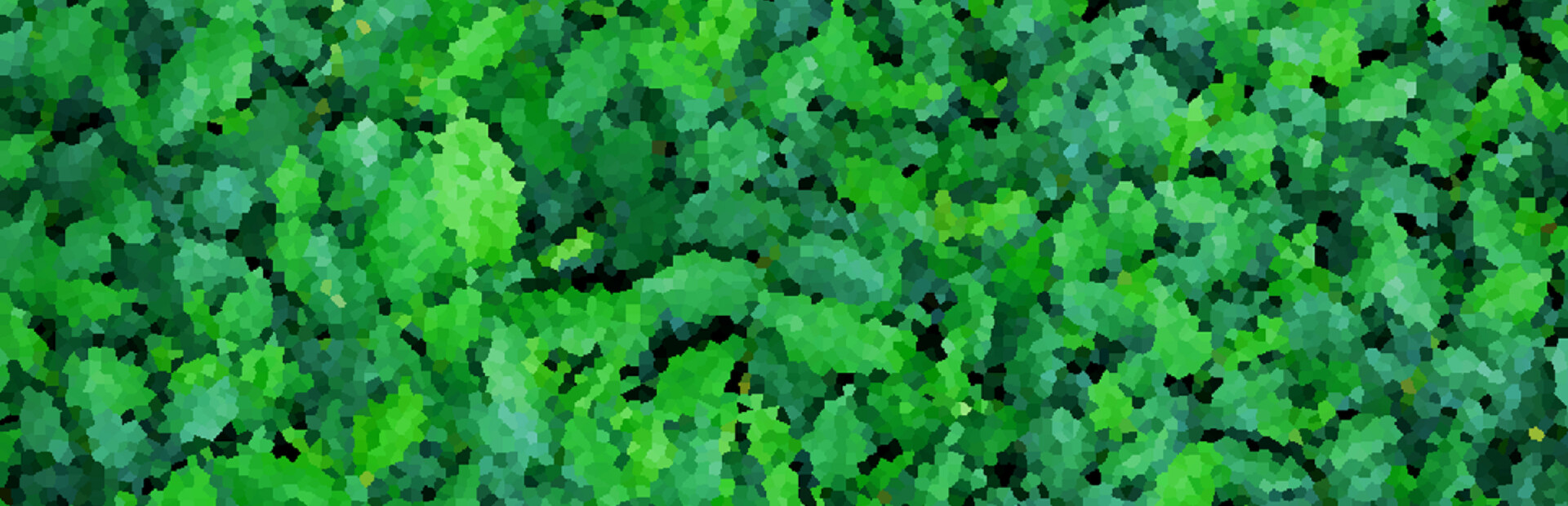 Leafko