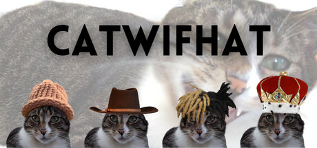 Catwifhat banner