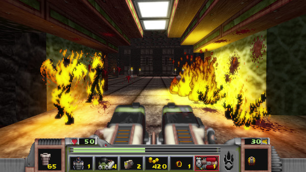 The Original Strife: Veteran Edition-游戏截图