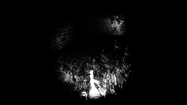 ysh park screenshot 1