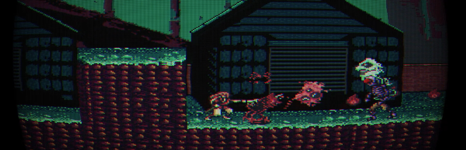 Cybernetic Ninja Nuns