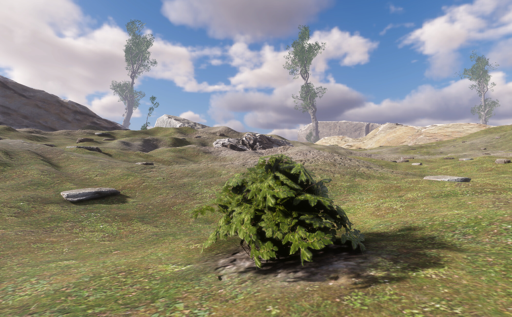 Bush Simulator