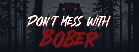 Don't Mess With Bober cover art