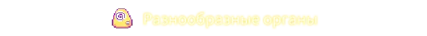 Bioweaver