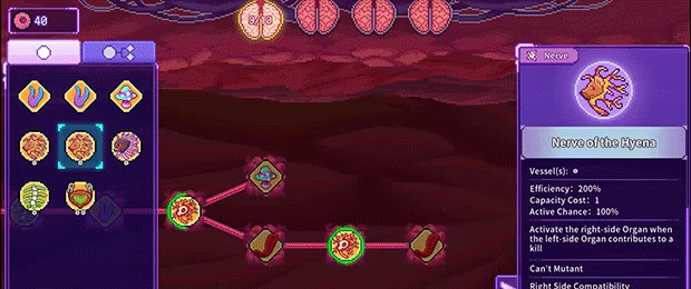 Bioweaver video 2