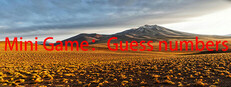 Mini Game：Guess numbers