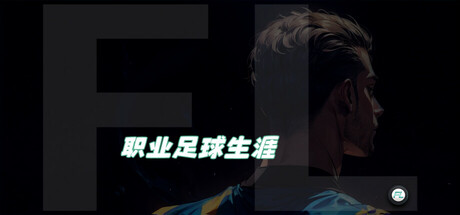 职业足球生涯 封面
