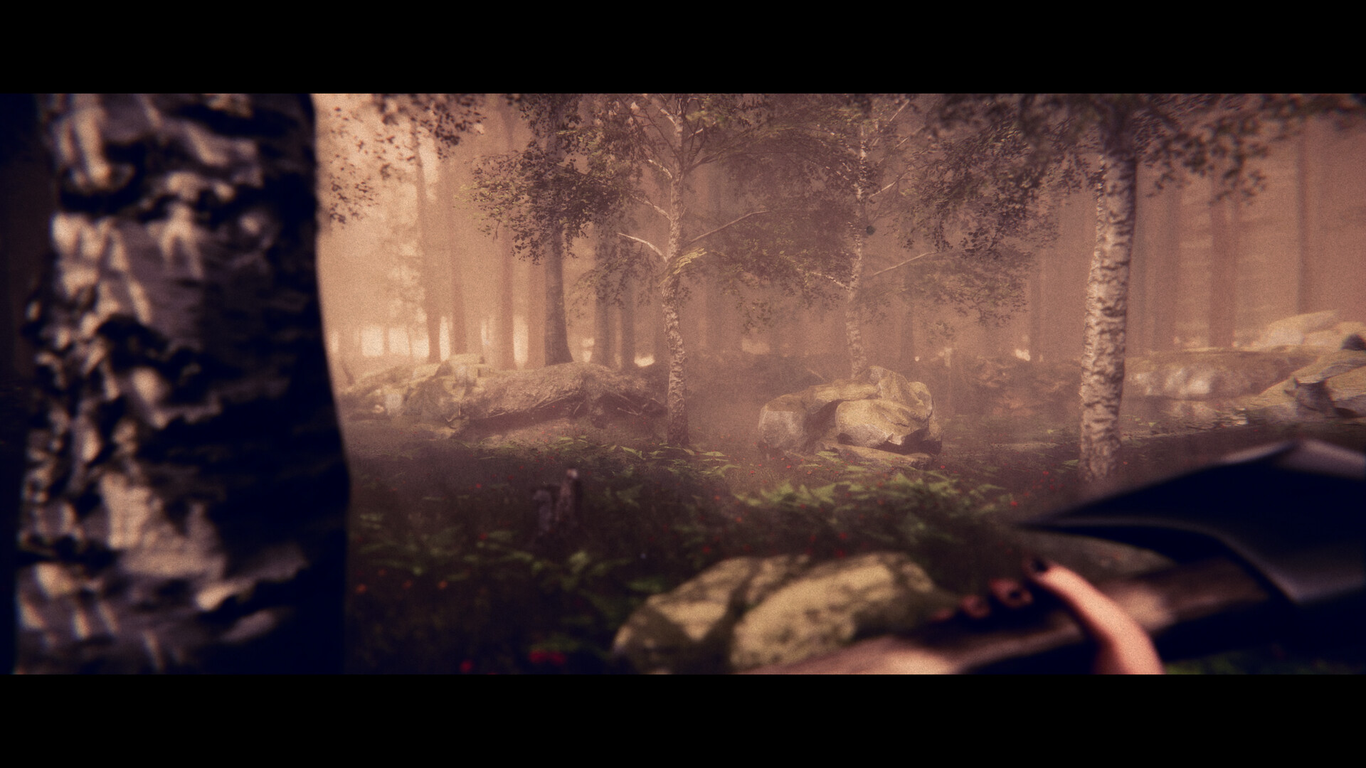 Project Songbird screenshot #5