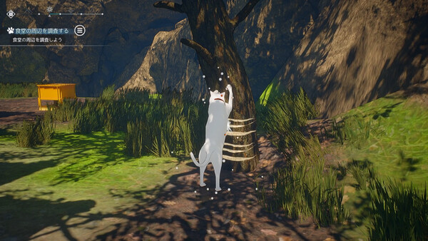 Cat Island Petrichor