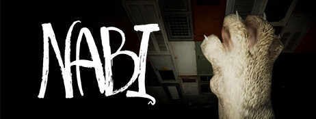 NABI cover art