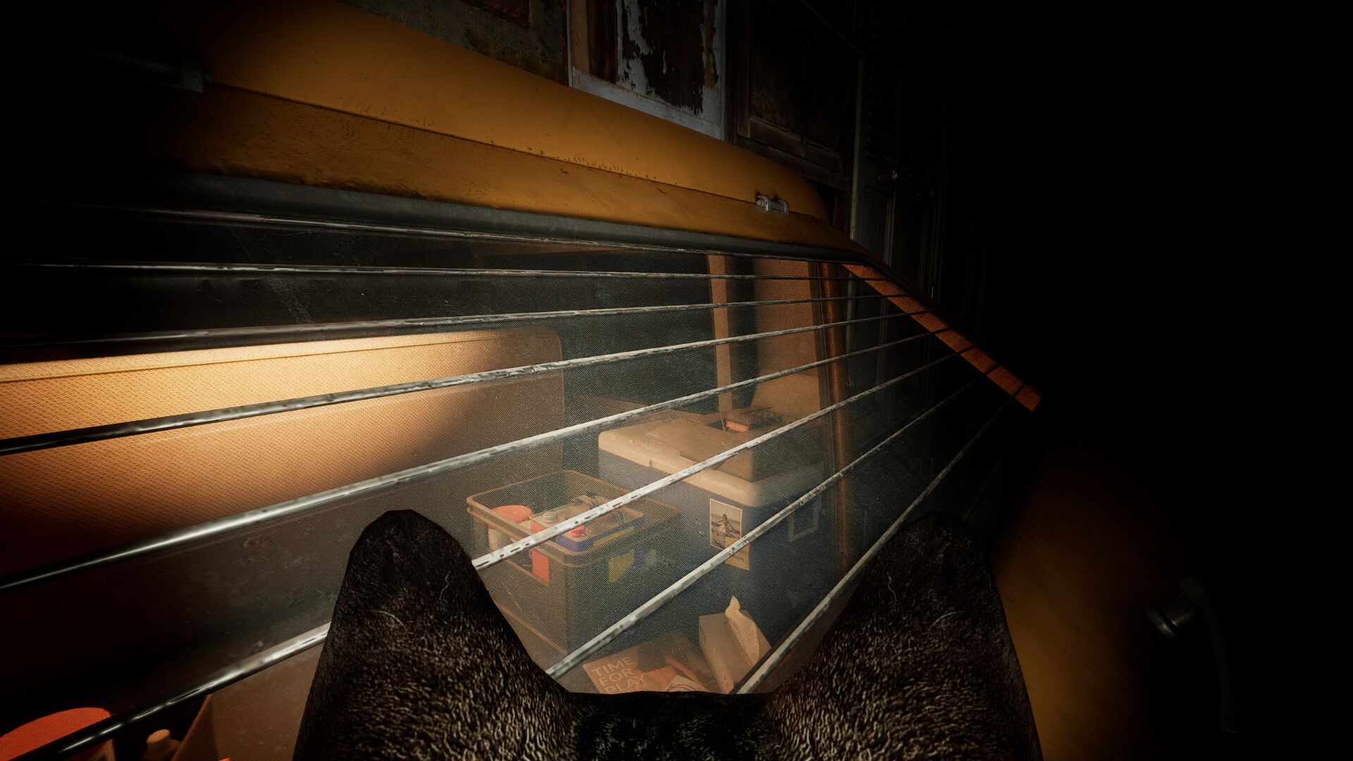 NABI screenshot 3