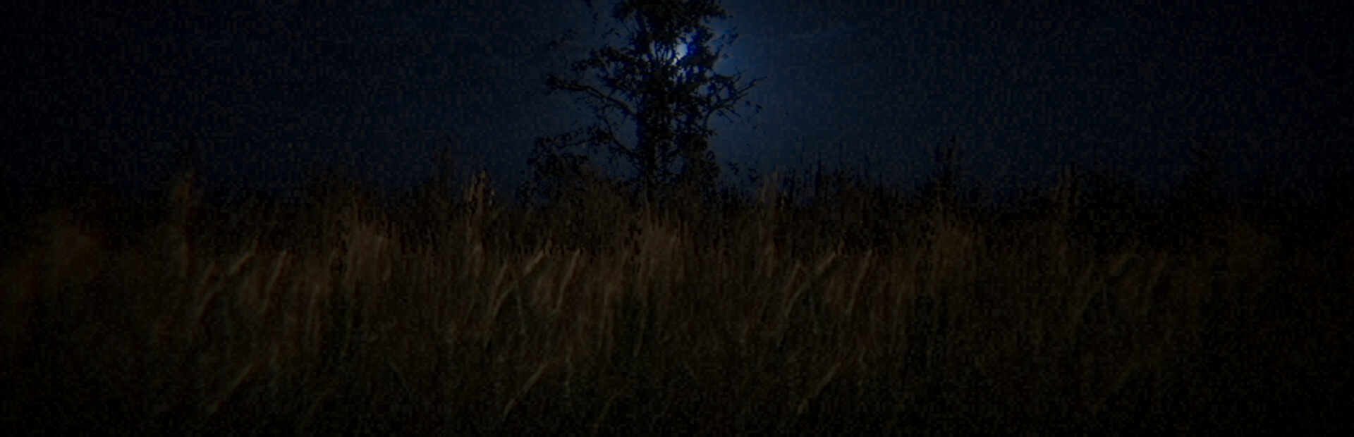 7 Nights Keeper