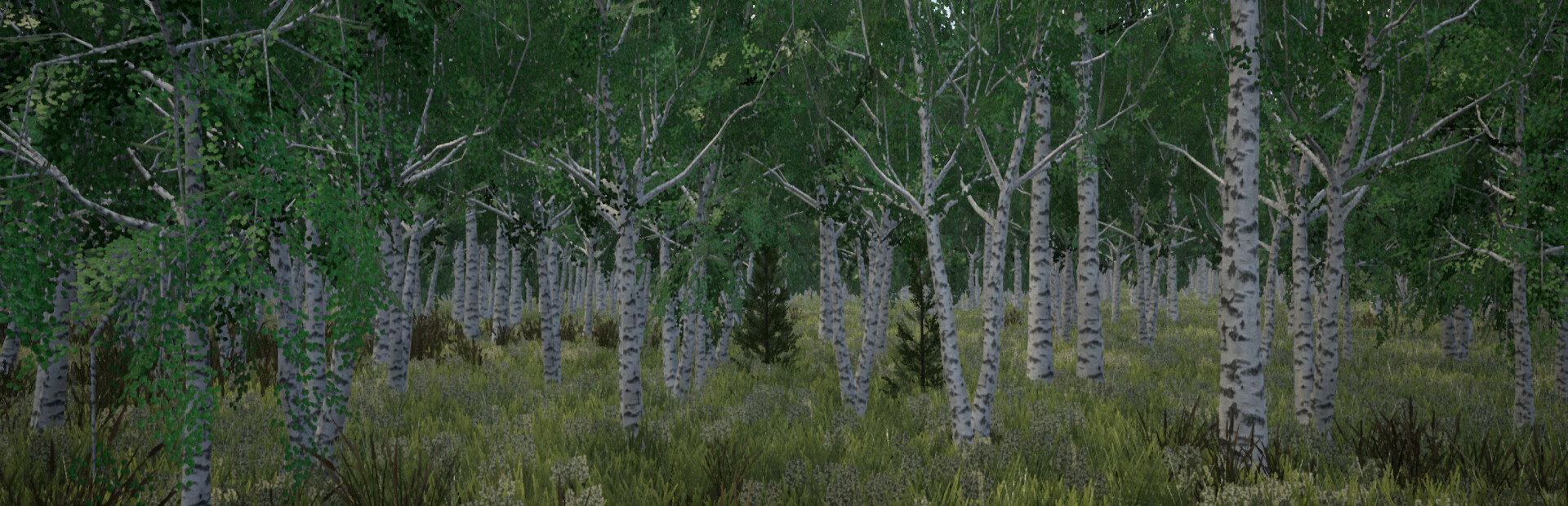 Tree Hugging Simulator
