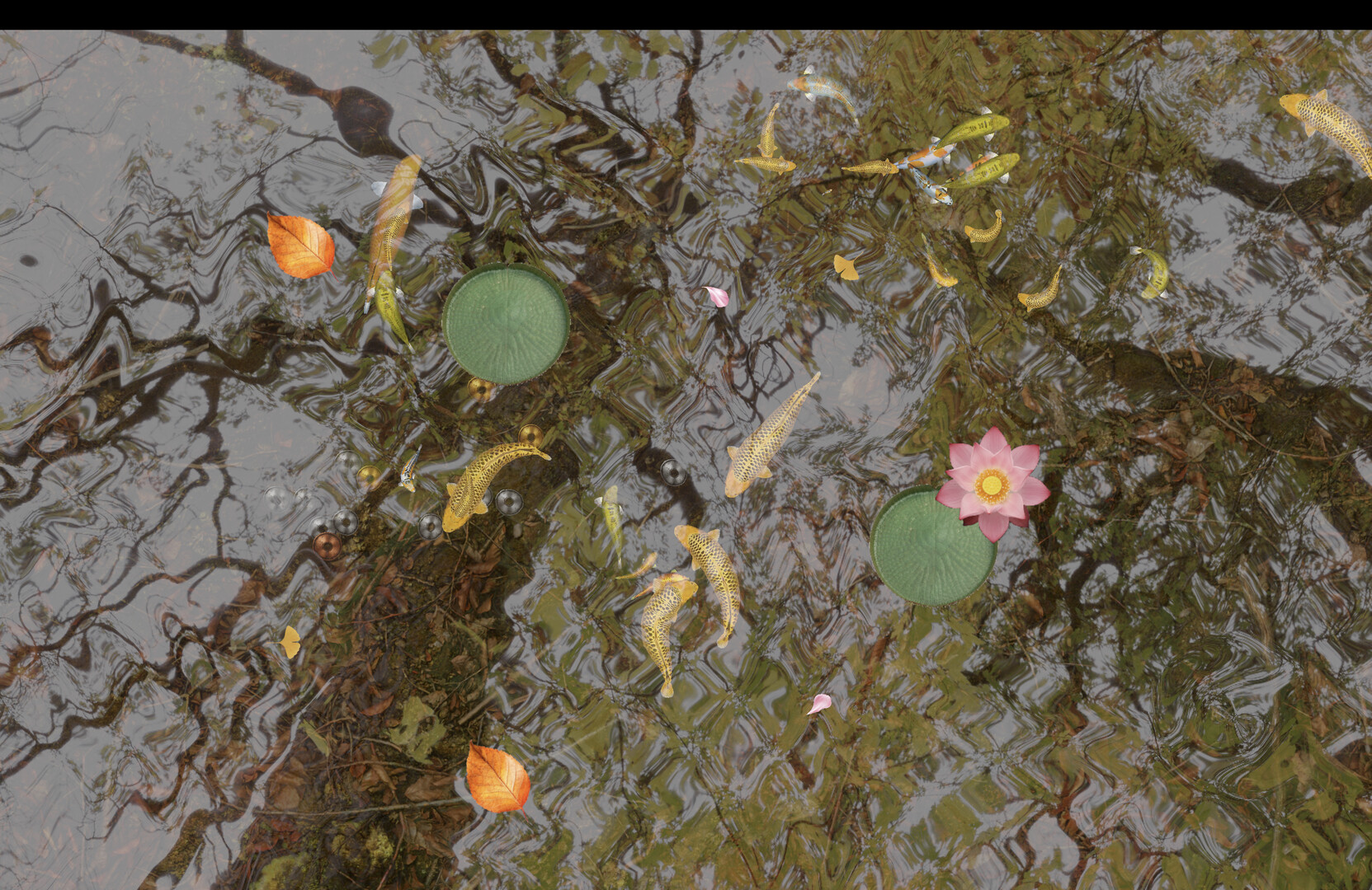 Tranquil Koi screenshot #2