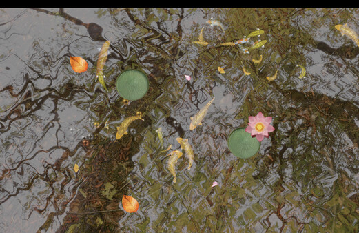 Tranquil Koi 鯉の池.