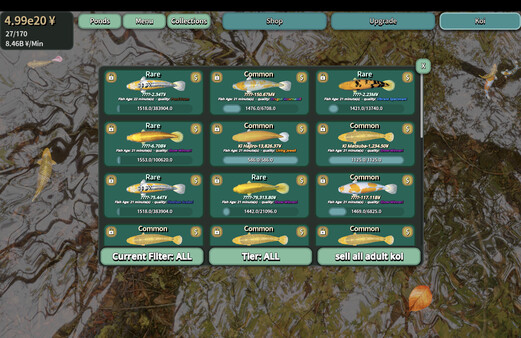 Tranquil Koi 鯉の池 screenshot 5