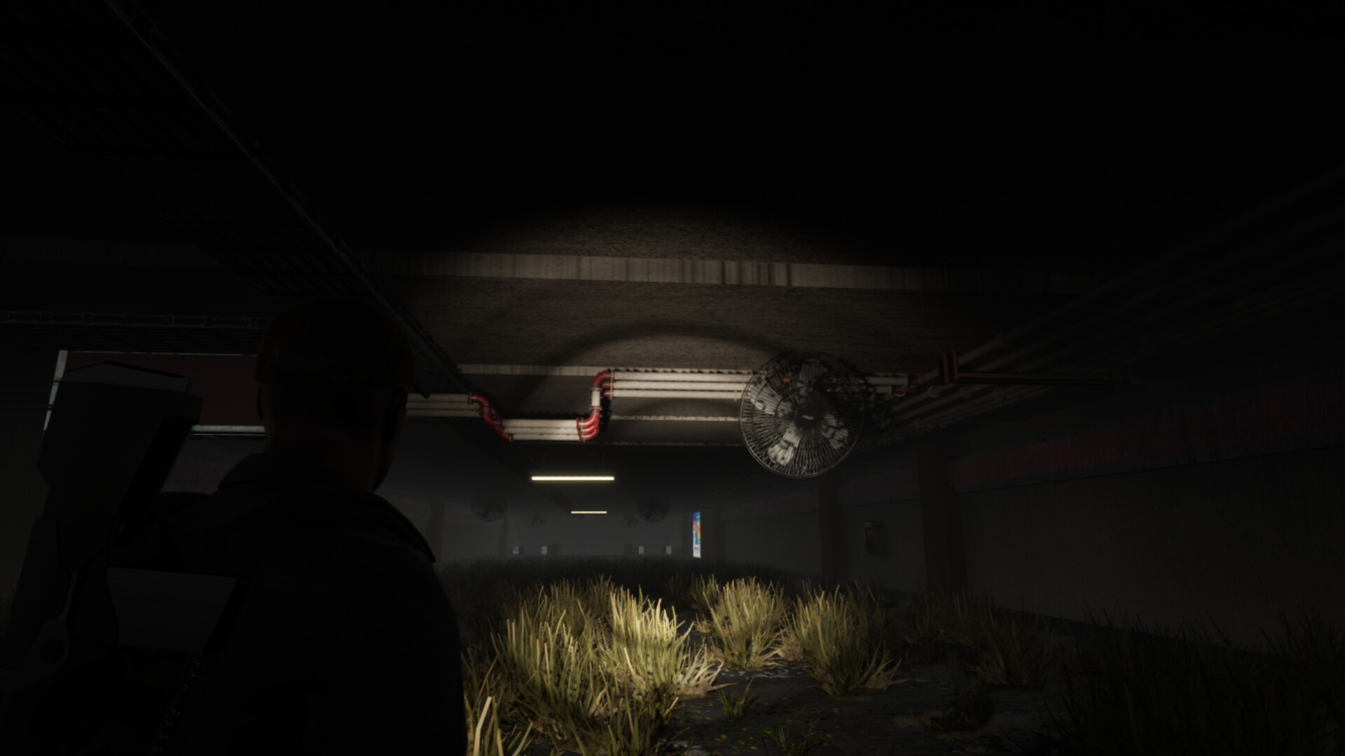 DOCE screenshot #2