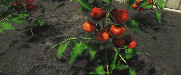 Market Gardener video 5