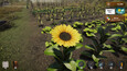 Market Gardener
