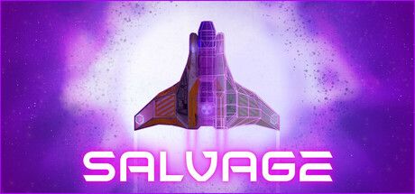 Salvage Cover Image