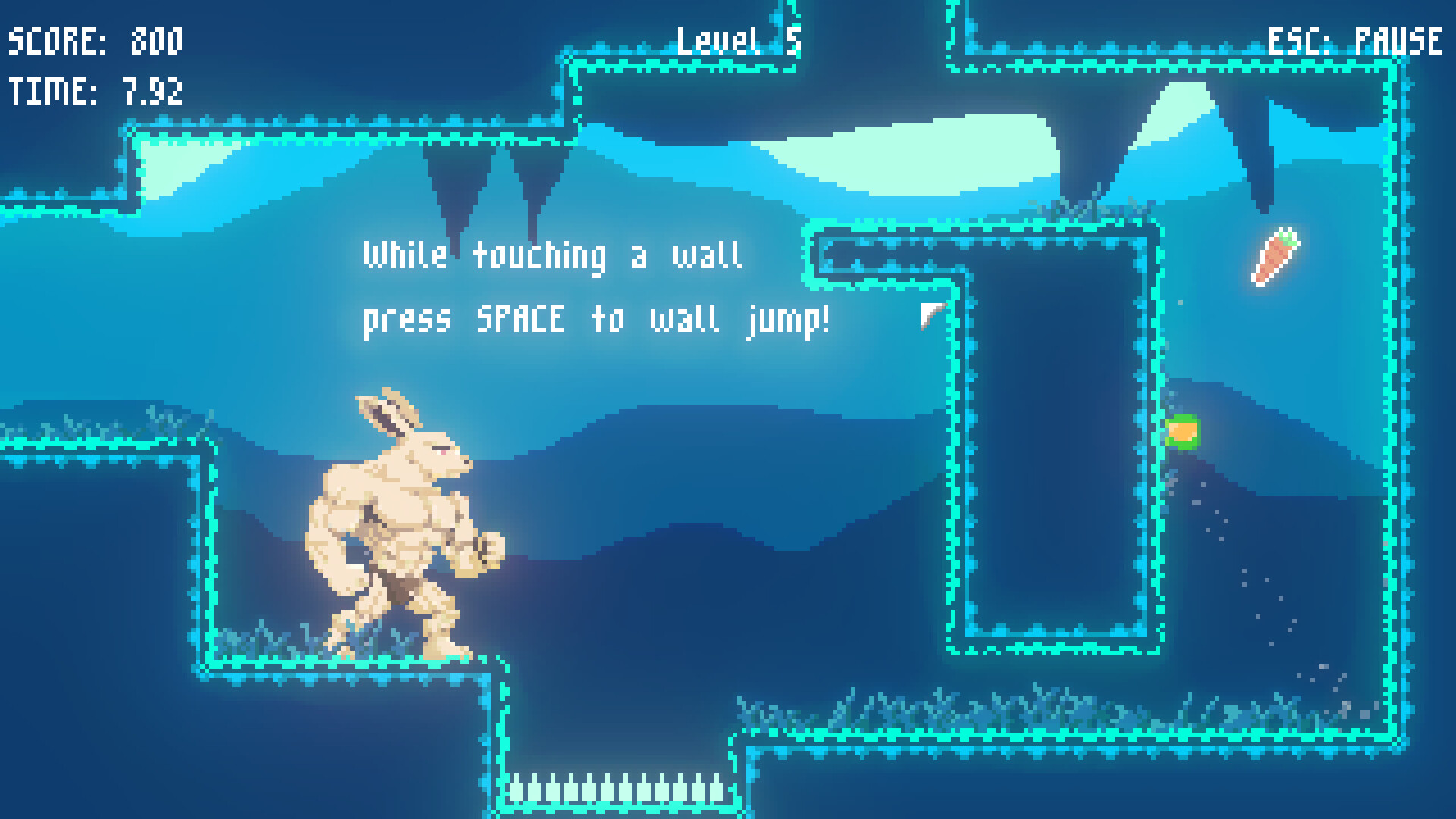Carrot Catcher screenshot 3