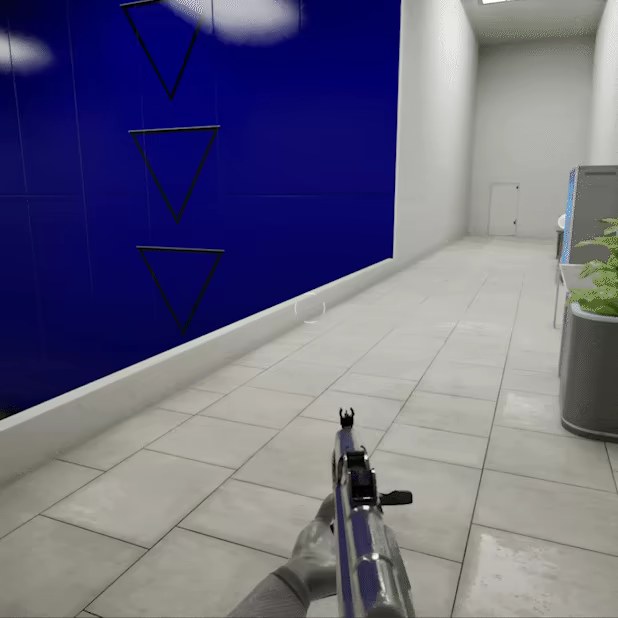Borderline video 14