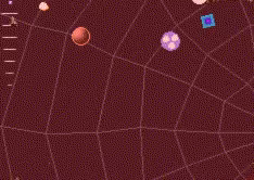 Acid Web video 3