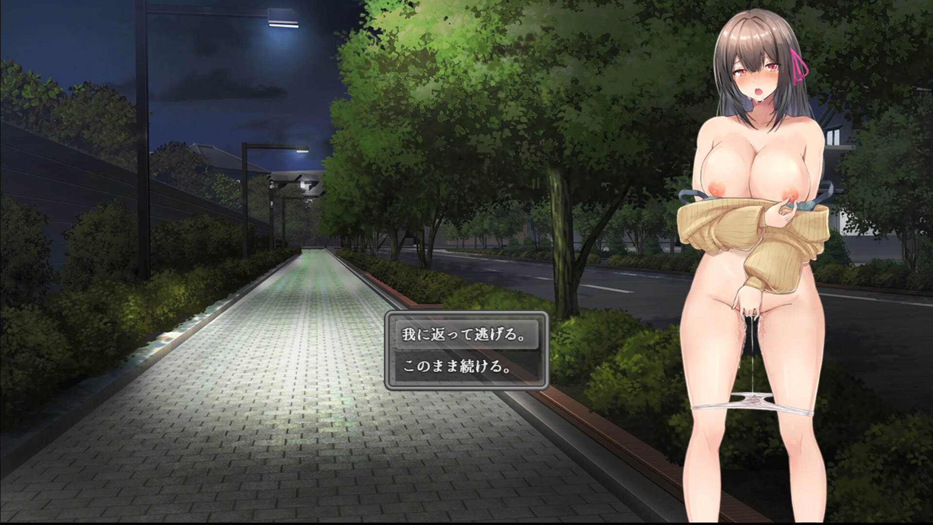 Midnight Exhibitionist DX Edition screenshot #3