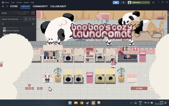 Bao Bao's Cozy Laundromat